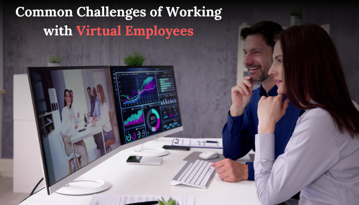 Virtual Employees