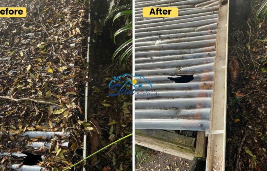 house washing service in tauranga