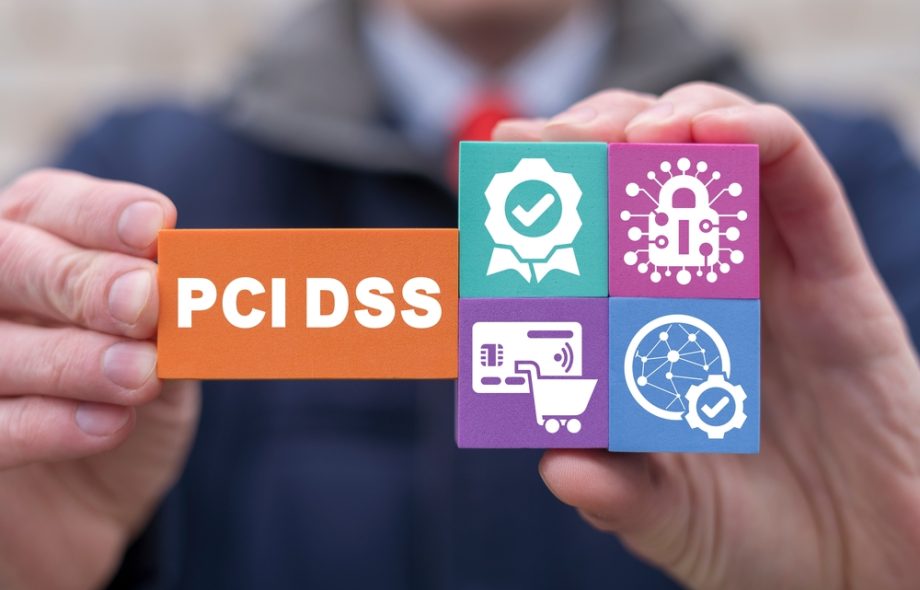PCI DSS Consultant