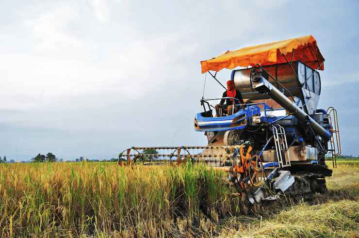 Smart Farm Management with Custom Odoo ERP for Agriculture Growth | Bizople