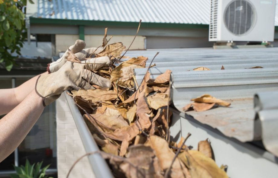 Gutter Cleaning in Tauranga