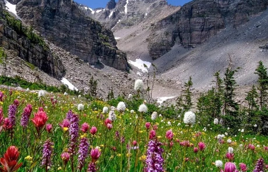 crawl space vapor barrier Brighton CO