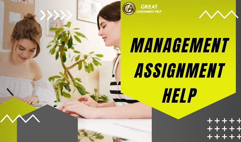 Management Assignment Help