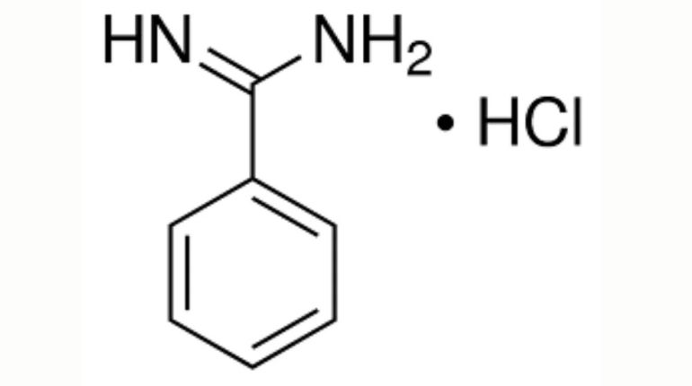 Benzamidine HCl (Benza)