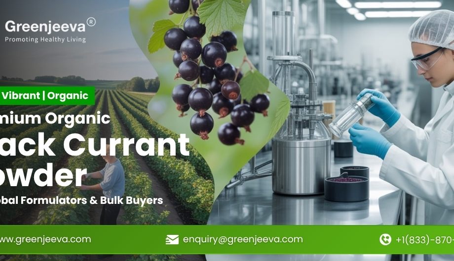 Organic Black Currant Powder: A Vibrant Ingredient Redefining Modern Formulations