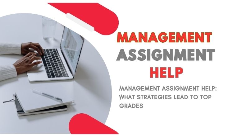 Management Assignment Help: What Strategies Lead to Top Grades