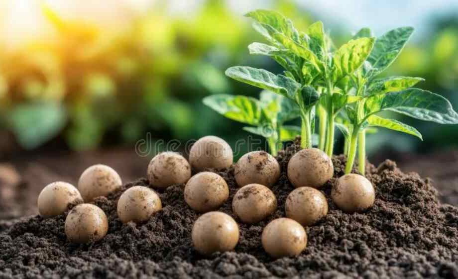 Eco-Friendly Fertilization: 6 Climate-Conscious Methods for High Yields